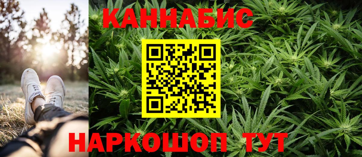 Конопля ГИДРОПОН Дедовск